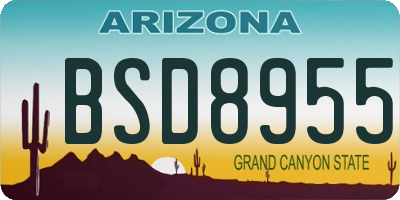 AZ license plate BSD8955