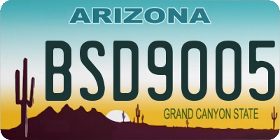 AZ license plate BSD9005