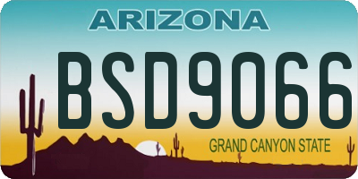AZ license plate BSD9066