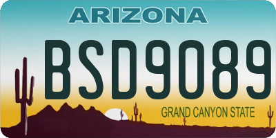 AZ license plate BSD9089