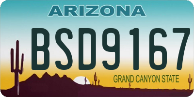 AZ license plate BSD9167