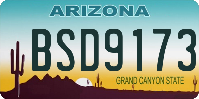 AZ license plate BSD9173
