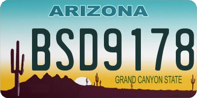 AZ license plate BSD9178