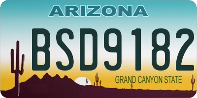 AZ license plate BSD9182