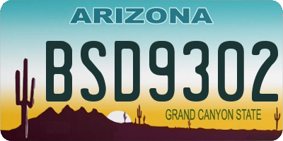 AZ license plate BSD9302