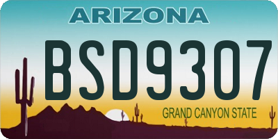 AZ license plate BSD9307
