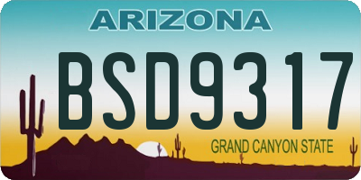 AZ license plate BSD9317