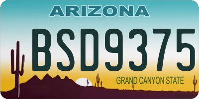 AZ license plate BSD9375
