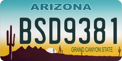 AZ license plate BSD9381