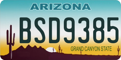AZ license plate BSD9385