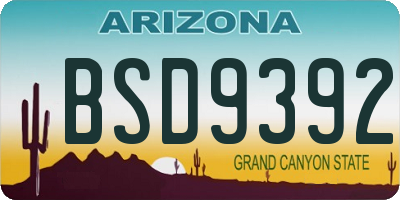 AZ license plate BSD9392