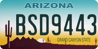 AZ license plate BSD9443