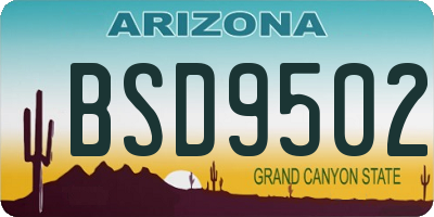 AZ license plate BSD9502