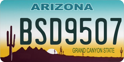AZ license plate BSD9507