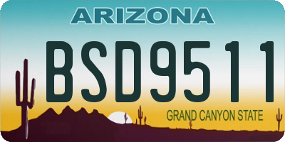 AZ license plate BSD9511