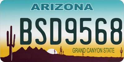 AZ license plate BSD9568