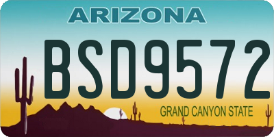 AZ license plate BSD9572