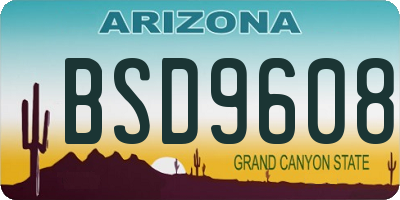 AZ license plate BSD9608