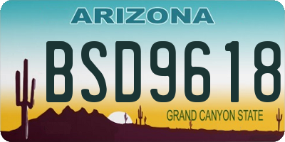 AZ license plate BSD9618