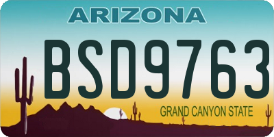 AZ license plate BSD9763