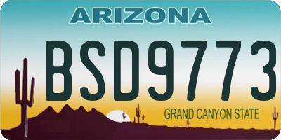 AZ license plate BSD9773
