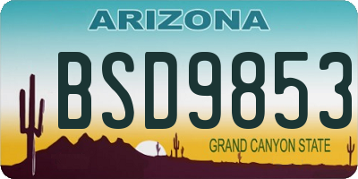 AZ license plate BSD9853