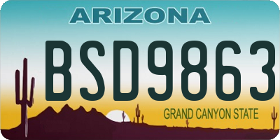AZ license plate BSD9863