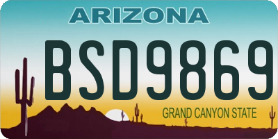 AZ license plate BSD9869