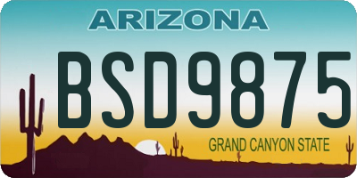 AZ license plate BSD9875