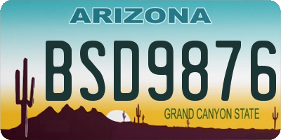 AZ license plate BSD9876