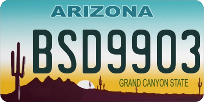 AZ license plate BSD9903