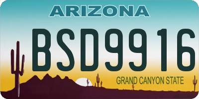 AZ license plate BSD9916