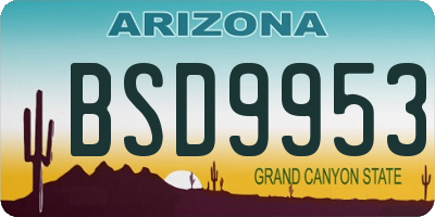 AZ license plate BSD9953