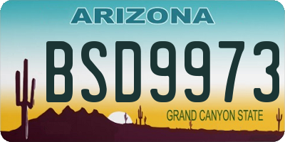 AZ license plate BSD9973