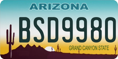 AZ license plate BSD9980