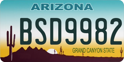 AZ license plate BSD9982