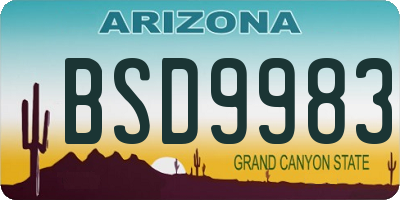 AZ license plate BSD9983