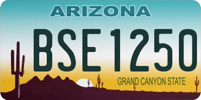AZ license plate BSE1250