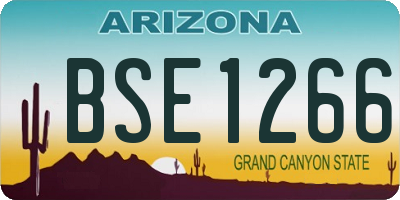 AZ license plate BSE1266