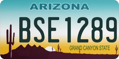AZ license plate BSE1289