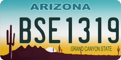 AZ license plate BSE1319