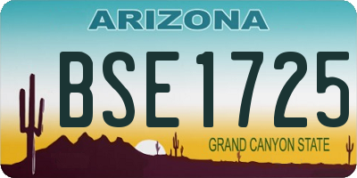 AZ license plate BSE1725
