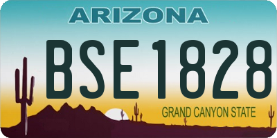 AZ license plate BSE1828