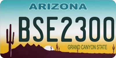 AZ license plate BSE2300