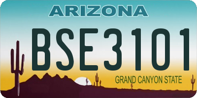 AZ license plate BSE3101