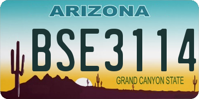 AZ license plate BSE3114