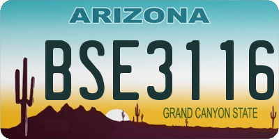 AZ license plate BSE3116