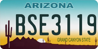 AZ license plate BSE3119