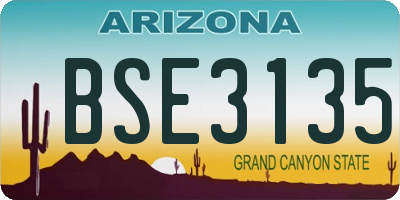 AZ license plate BSE3135