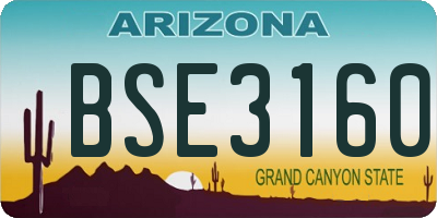 AZ license plate BSE3160